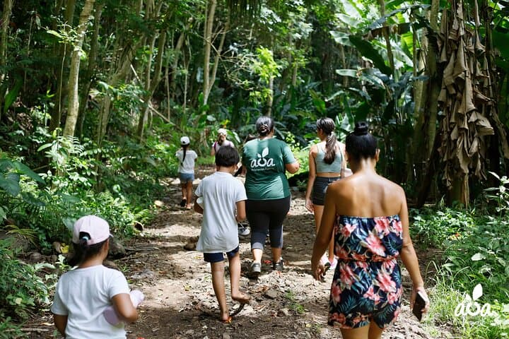 AOA Polynesian Forests: Tahiti Educational Trail & Native Species Game photo 6