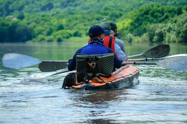 Paddling the Dniester: Half-Day Kayak Tour from Vadul lui Voda photo 2
