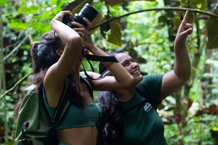 Tahiti Nature Immersion Day at AOA Polynesian Forests — Private Biodiversity Experience photo 3