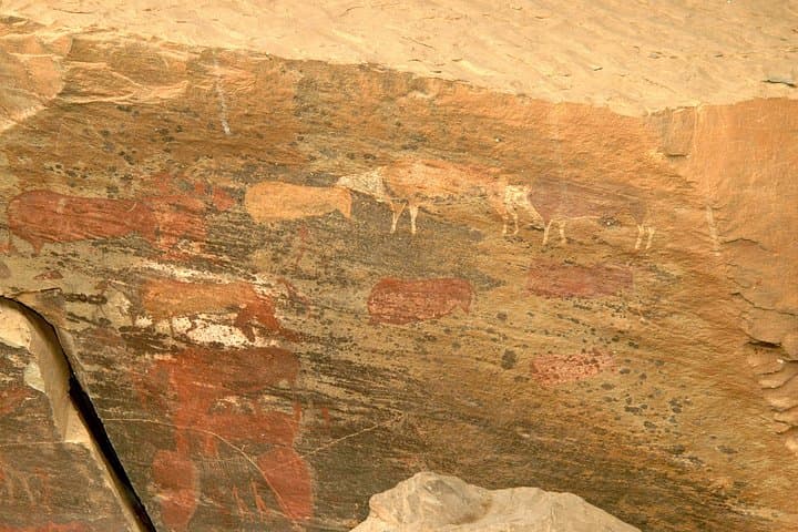 Day Trip to Giants Castle San Rock Art and Mandela Capture Site from Durban photo 3