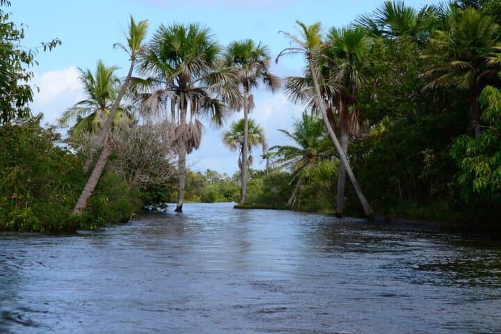 Preguiças River by 4x4 and Boat — Mandacaru Lighthouse & Caburé Beach Tour photo 6