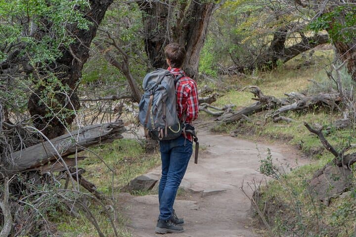 Full-Day El Chaltén Hiking Experience — Fitz Roy, Viedma & Waterfall Views photo 5