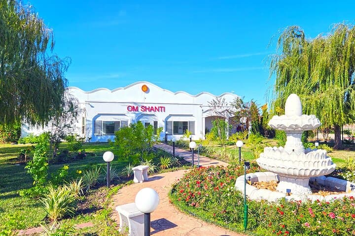 Inside a Raja Yoga Meditation Center: Houston Tour, Exhibition & Guided Meditation photo 2
