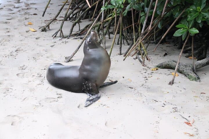 10-Day Galapagos Island Hopping: Full Galapagos Explorer Itinerary photo 3