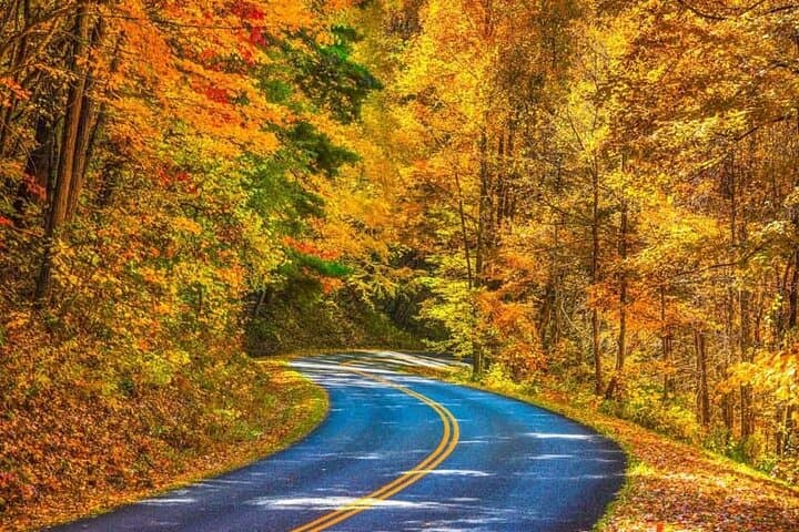 Blue Ridge Fall Foliage Tour from Asheville — Best Views & Photo Stops
