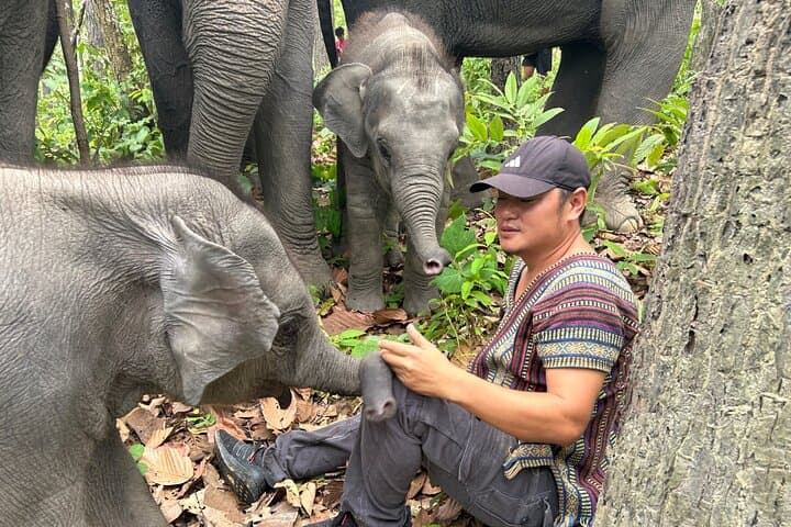 Half-Day Doi Inthanon Elephant Sanctuary Tour from Chiang Mai photo 2