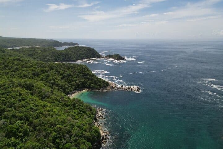 Huatulco Marine Mammal Watching and Snorkeling Tour photo 3