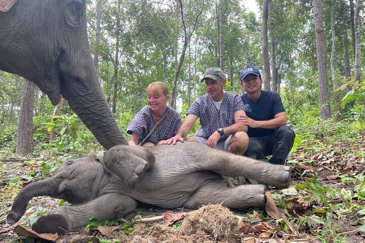 Half-Day Doi Inthanon Elephant Sanctuary Tour from Chiang Mai photo 5
