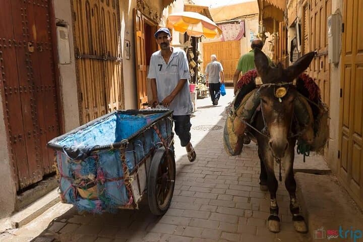 2-Day Tangier to Fez via Chefchaouen — Private Cultural & Scenic Tour photo 4