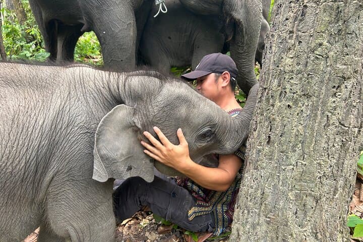 Chiang Mai Day Trip: Ethical Elephant Sanctuary, Mae Saphok Waterfall & Bamboo Rafting photo 3