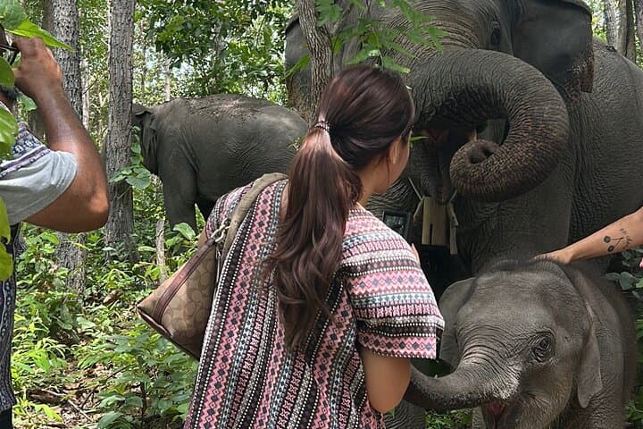 Chiang Mai Day Trip: Ethical Elephant Sanctuary, Mae Saphok Waterfall & Bamboo Rafting photo 5