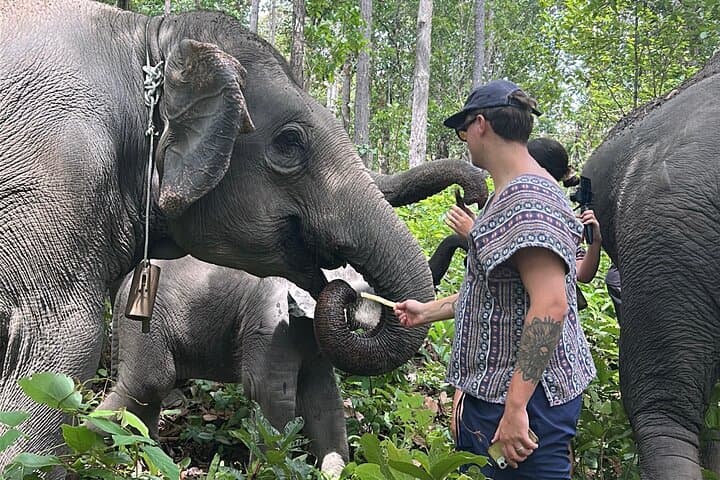 Chiang Mai Day Trip: Ethical Elephant Sanctuary, Mae Saphok Waterfall & Bamboo Rafting photo 6