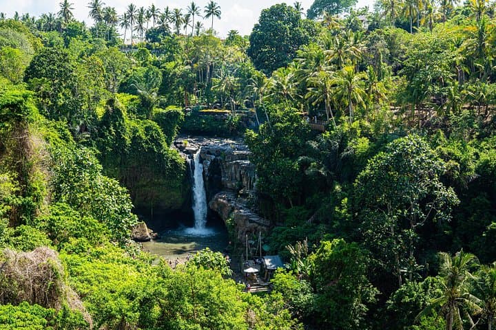 Ubud to Kintamani Volcano Day Tour — Waterfalls, Rice Terraces & Coffee Tasting photo 2