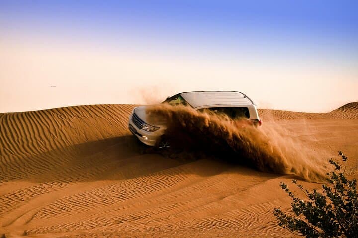 Agadir Mini-Sahara Day Trip: Camel Ride, Dunes & Souss-Massa Wildlife photo 2