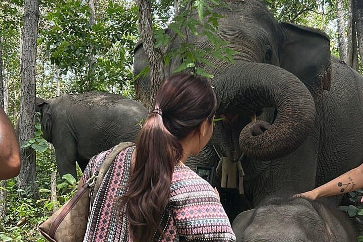 Doi Inthanon Ethical Elephant Sanctuary, King & Queen Pagodas & Waterfalls — Full-Day from Chiang Mai photo 2