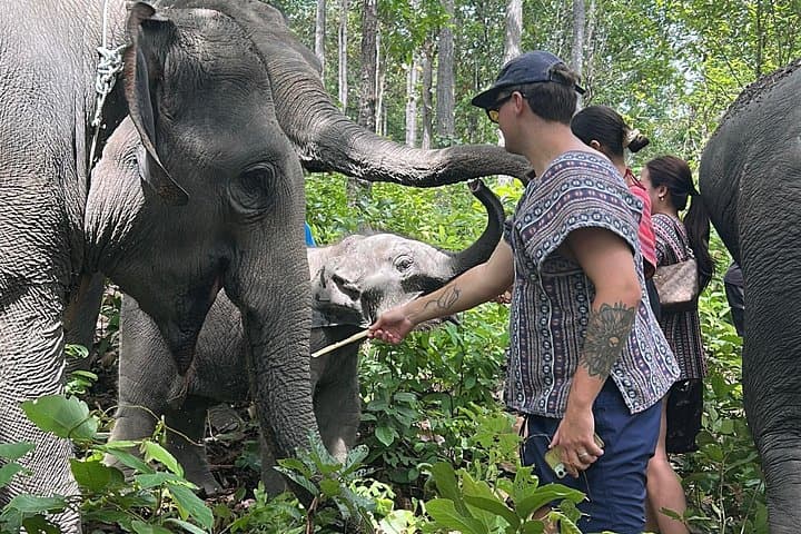 Doi Inthanon Ethical Elephant Sanctuary, King & Queen Pagodas & Waterfalls — Full-Day from Chiang Mai photo 3