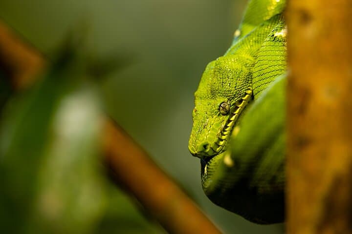 Manu National Park 4-Day Jungle Lodge Adventure from Cusco photo 5