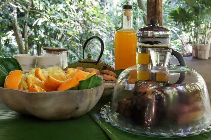 Tahiti Nature Immersion Day at AOA Polynesian Forests — Private Biodiversity Experience photo 4