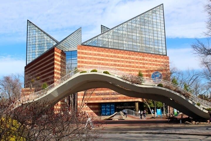 Chattanooga Blues to Bridges: Self-Guided Downtown Walking Tour photo 6