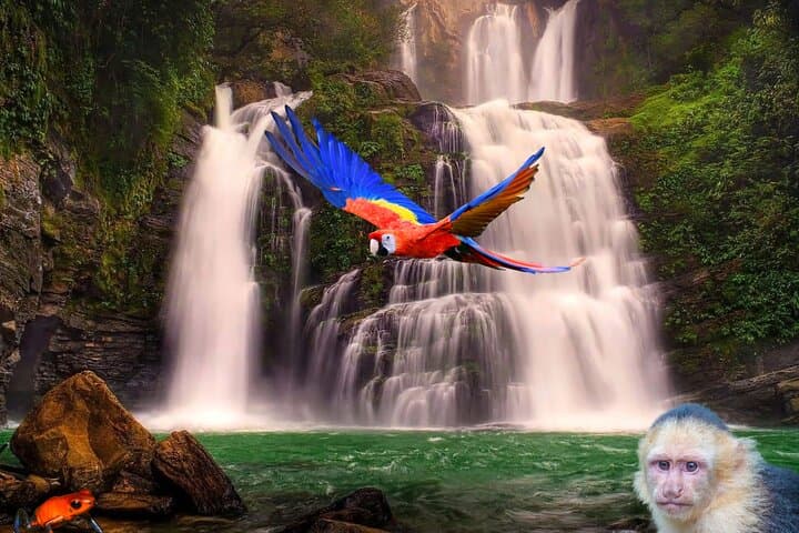 Nauyaca Falls Guided Hike: Rainforest Trails, Pools & Cerro de la Muerte Views