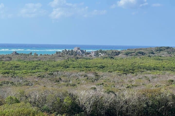 Private Tulum & Akumal Turtle Swim — Ruins, Reef and Snorkel Adventure photo 6