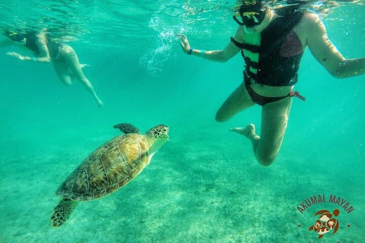 Private Tulum & Akumal Turtle Swim — Ruins, Reef and Snorkel Adventure photo 5