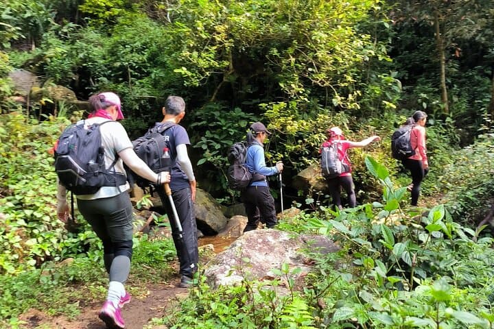 Ta Lien Son 2-Day Challenge: Summit Vietnam’s 6th Highest Peak photo 6