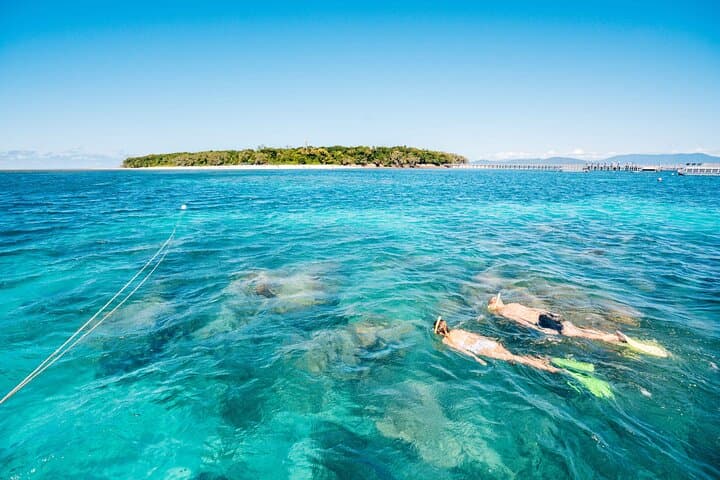 Great Barrier Reef & Green Island Full-Day Adventure from Cairns photo 3