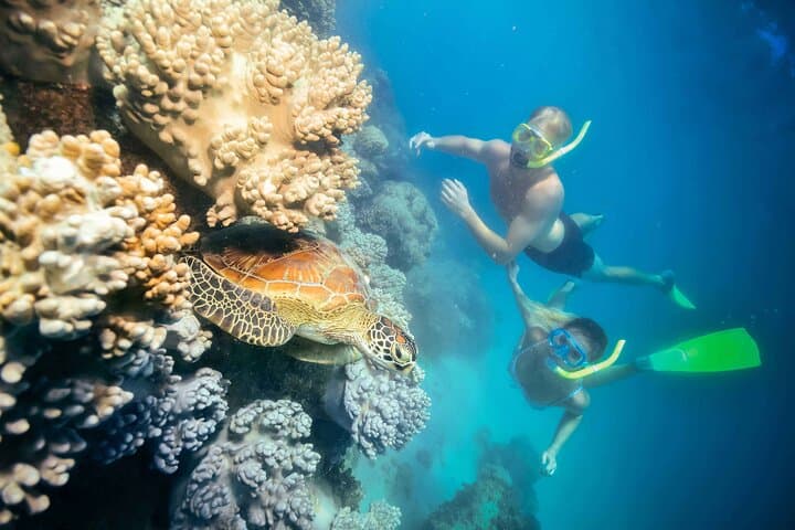 Great Barrier Reef & Green Island Full-Day Adventure from Cairns photo 5
