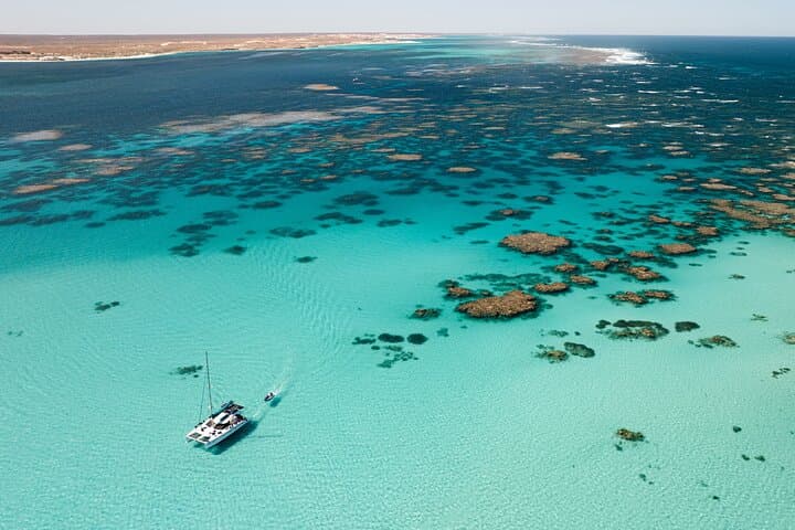 Three-Night Ningaloo Reef Snorkel & Dive Getaway from Coral Bay photo 2