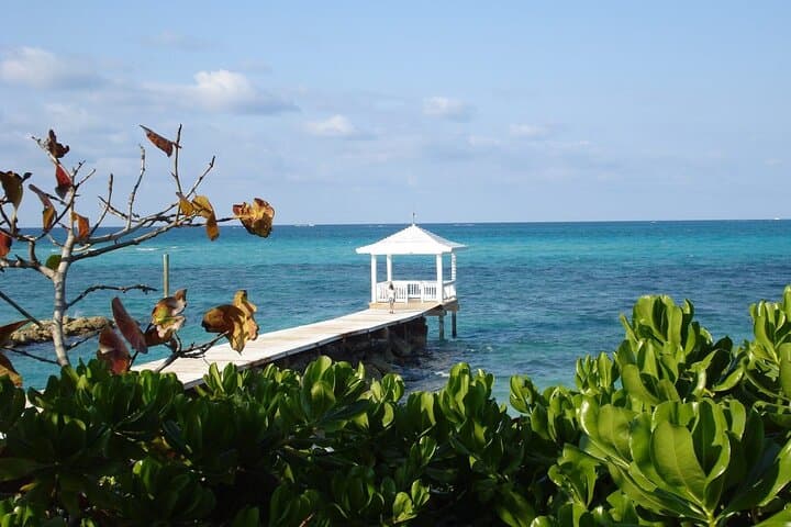 Explore Barbados by 4WD: A Week-Long Island Adventure from Accra Beach Hotel photo 5