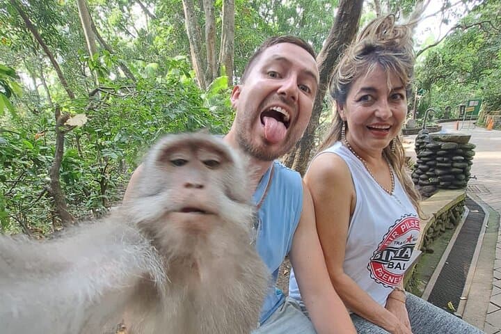 Ubud Private Day Trip: Luxury Cultural Tour with English-Speaking Driver photo 4