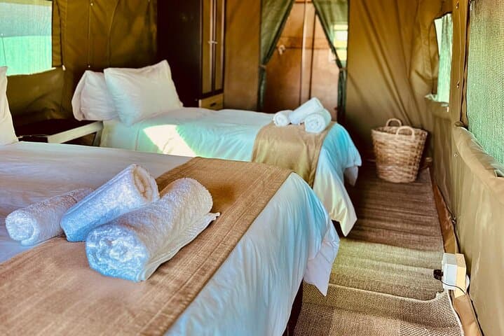 2-Day Pilanesberg Camping Safari from Johannesburg — Big Five Game Drives & Tented Camp photo 1
