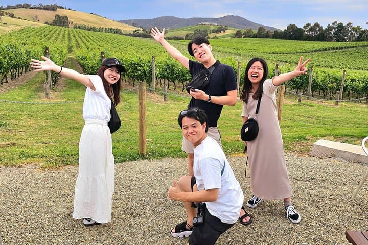 Yarra Valley Redwoods & Wine Day Trip from Melbourne — Warburton, Soumah & Chocolaterie photo 4