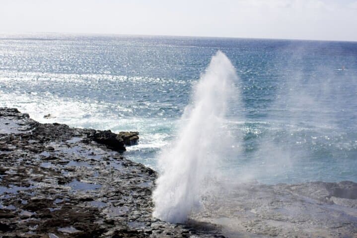 Oahu circle island tour — snorkel with turtles, Byodo-In temple & North Shore flavors photo 5