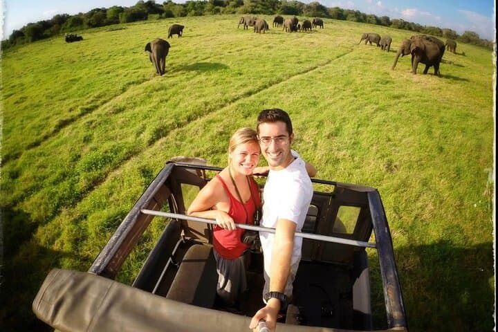 Ten-Day Scenic Sri Lanka: Sigiriya, Hill Country & Southern Coast Itinerary photo 3