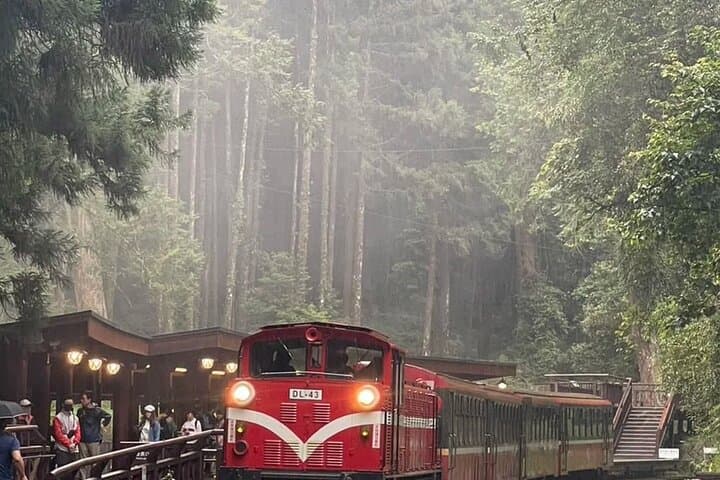 Alishan One-Day Scenic Tour from Taichung — Forest Railway, Sacred Trees & Fenqihu