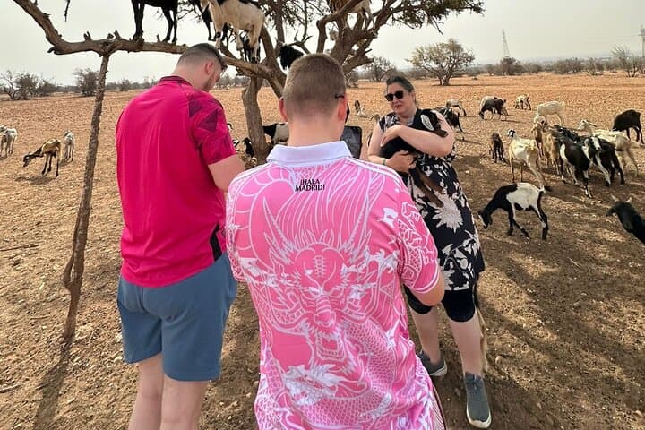 Agadir Crocoparc & Goats in Argan Trees: Half-Day Wildlife and Argan Oil Tour photo 3
