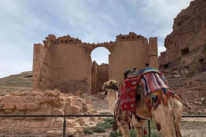 Petra in Three Hours: Private Highlights Tour with a Local Guide photo 5