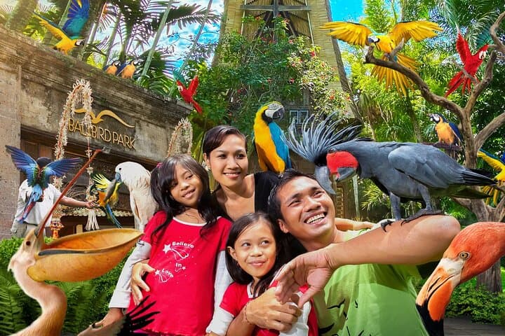 Bali Bird Park Admission: Interactive Feeding, Live Shows & 4D Cinema