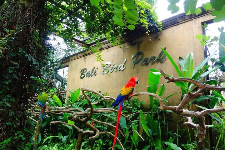 Bali Bird Park Admission: Interactive Feeding, Live Shows & 4D Cinema photo 2