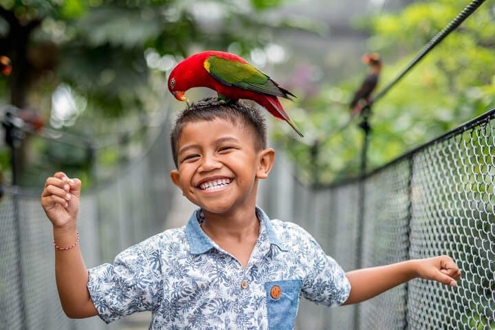 Bali Bird Park Admission: Interactive Feeding, Live Shows & 4D Cinema photo 3