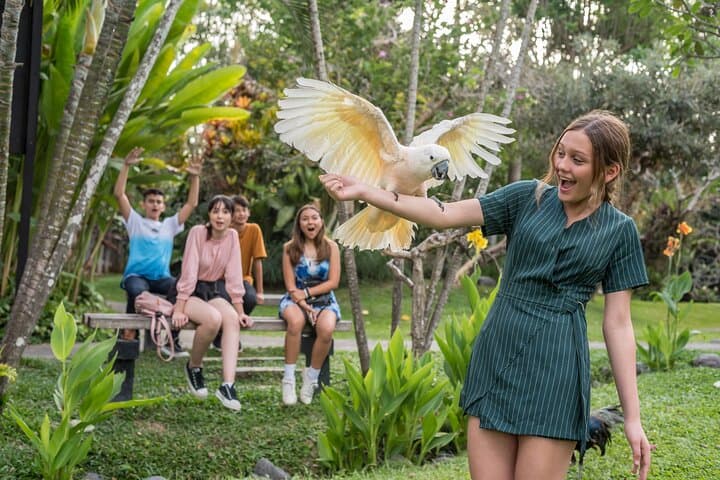 Bali Bird Park Admission: Interactive Feeding, Live Shows & 4D Cinema photo 5