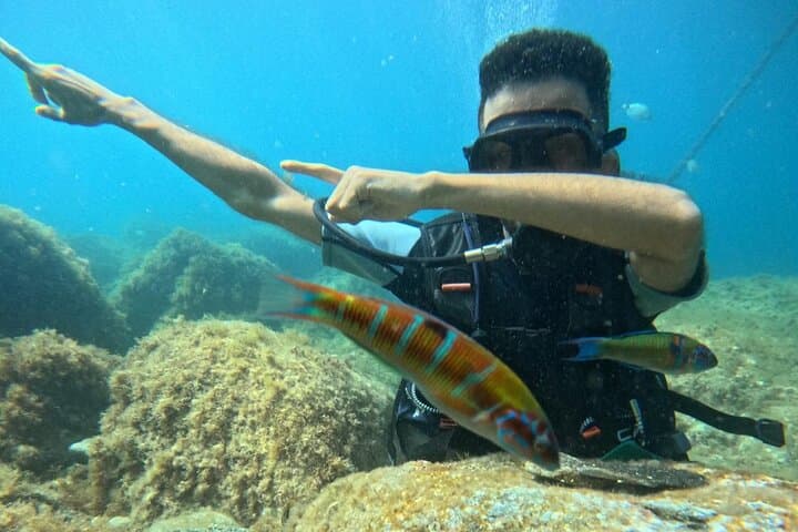 Half-Day Scuba Dive from Chefchaouen — Beginner Mediterranean Dive in M'diq photo 3