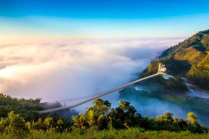 Taiping Suspension Bridge Taiwan: Walk the 1,000m Sky Bridge Above Chiayi’s Tea Terraces