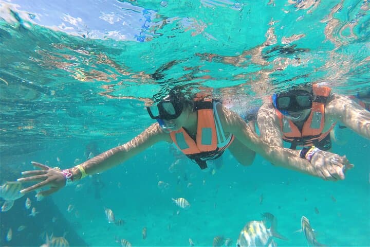 Self-Drive Jungle Speedboat & Mayan Snorkel Experience in Cancún photo 4