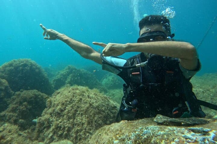 Chefchaouen to Mdik: Full-Day Beginner Scuba Dive on the Mediterranean photo 6