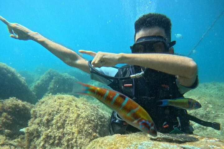 Chefchaouen to Mdik: Full-Day Beginner Scuba Dive on the Mediterranean photo 3