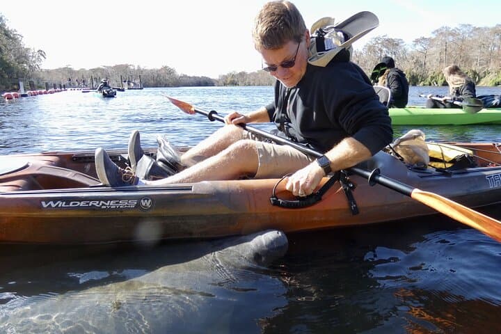 Sunset Manatee Kayak Near Orlando: Small-Group Blue Spring Paddle photo 2