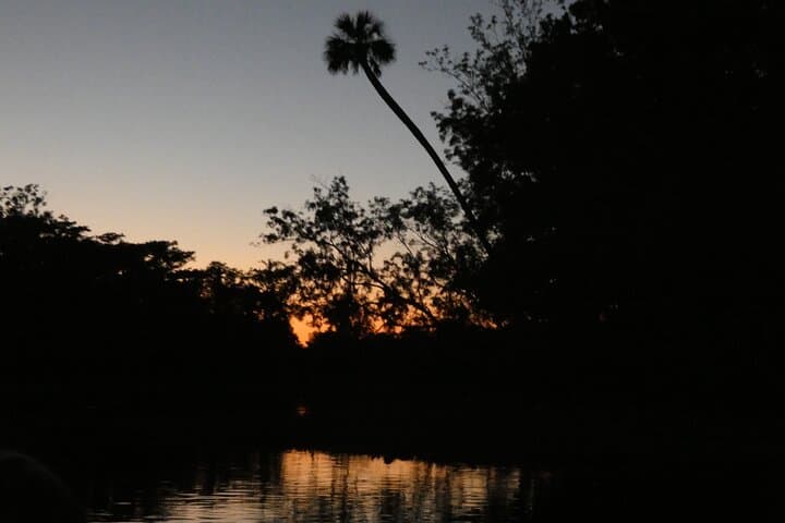 Sunset Manatee Kayak Near Orlando: Small-Group Blue Spring Paddle photo 3
